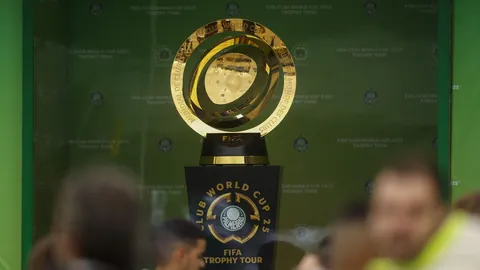 只需20美元，轻松打造洁净空间，无线电动除尘器助你新年焕新家！